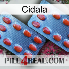 Cidala 05